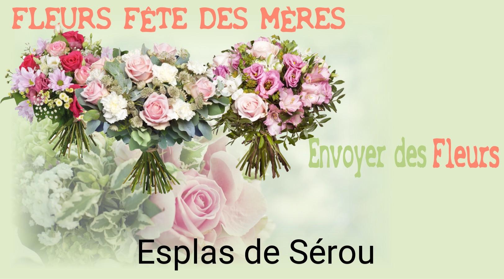 Bouquet de Fête des Mères livré à Esplas-de-Sérou
